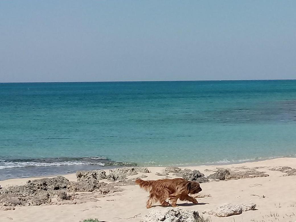 Stella Dell'Urmo Βίλα Avetrana Εξωτερικό φωτογραφία