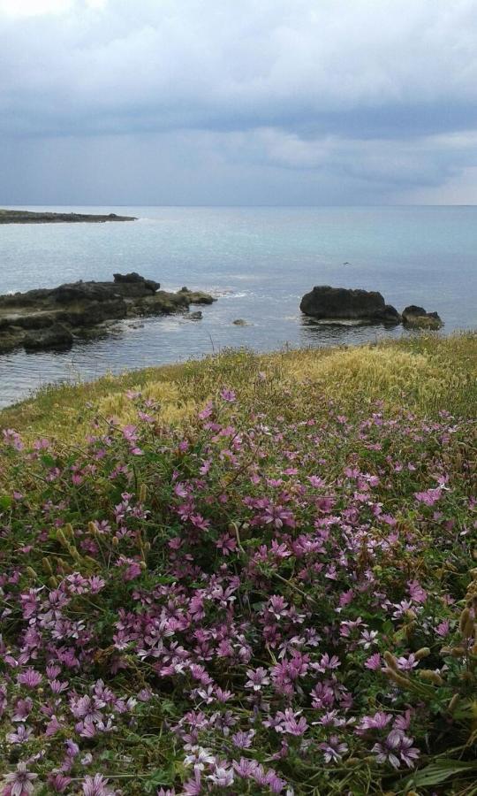 Stella Dell'Urmo Βίλα Avetrana Εξωτερικό φωτογραφία